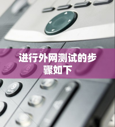 进行外网测试的步骤如下 进行外网测试的步骤如下