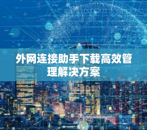 外网连接助手下载高效管理解决方案 外网连接助手下载高效管理解决方案