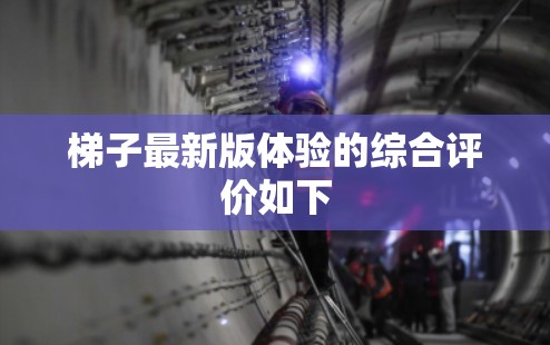 梯子最新版体验的综合评价如下 梯子最新版体验的综合评价如下