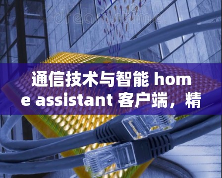 通信技术与智能 home assistant 客户端,精选版梯子客户端 通信技术与智能 home assistant 客户端,精选版梯子客户端