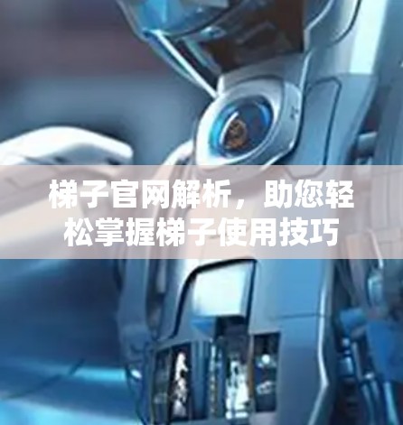 梯子官网解析，助您轻松掌握梯子使用技巧