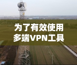 为了有效使用多端VPN工具,以下是一个系统的步骤指南 为了有效使用多端VPN工具,以下是一个系统的步骤指南