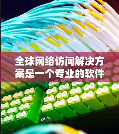 全球网络访问解决方案是一个专业的软件平台，旨在管理全球范围内的网络访问，确保数据安全和合规。以下是该解决方案的详细介绍
