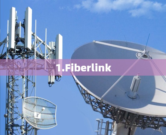 1.Fiberlink