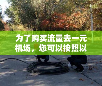 为了购买流量去一元机场，您可以按照以下步骤操作