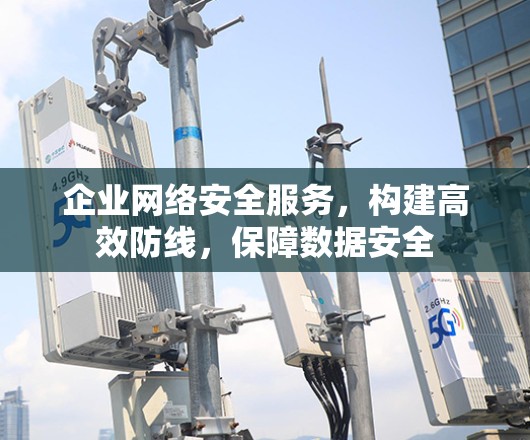 企业网络安全服务,构建高效防线,保障数据安全 企业网络安全服务,构建高效防线,保障数据安全