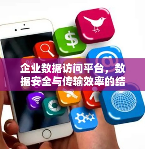 企业数据访问平台,数据安全与传输效率的结合 企业数据访问平台,数据安全与传输效率的结合