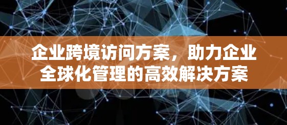 企业跨境访问方案,助力企业全球化管理的高效解决方案 企业跨境访问方案,助力企业全球化管理的高效解决方案