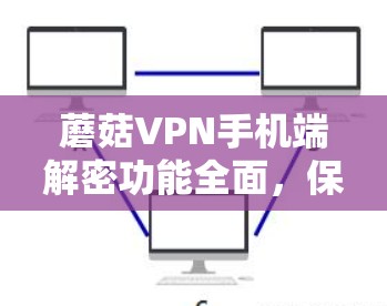 蘑菇VPN手机端解密功能全面,保障网络安全 蘑菇VPN手机端解密功能全面,保障网络安全