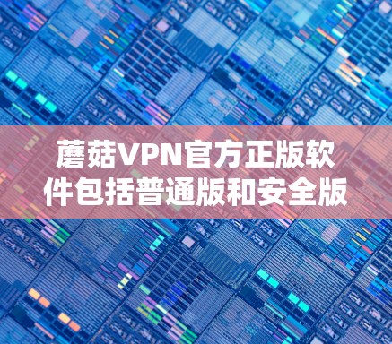 蘑菇VPN官方正版软件包括普通版和安全版两种。以下是适合不同用户的选择 蘑菇VPN官方正版软件包括普通版和安全版两种。以下是适合不同用户的选择