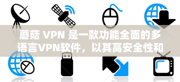 蘑菇 VPN 是一款功能全面的多语言VPN软件，以其高安全性和多样化的使用场景而著称。以下是对蘑菇 VPN 功能的评测