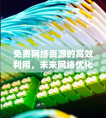免费网络资源的高效利用,未来网络优化的创新 免费网络资源的高效利用,未来网络优化的创新