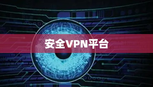 安全VPN平台 安全VPN平台