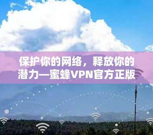 保护你的网络,释放你的潜力—蜜蜂VPN官方正版软件 保护你的网络,释放你的潜力—蜜蜂VPN官方正版软件