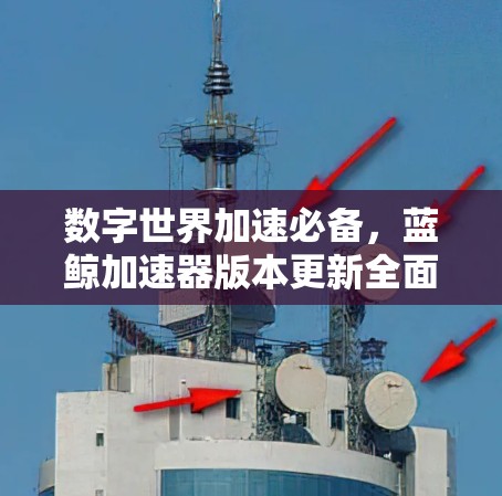数字世界加速必备，蓝鲸加速器版本更新全面升级