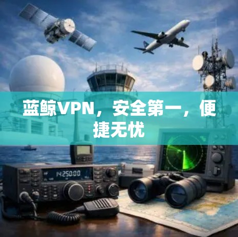 蓝鲸VPN,安全第一,便捷无忧 蓝鲸VPN,安全第一,便捷无忧
