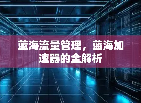 蓝海流量管理,蓝海加速器的全解析 蓝海流量管理,蓝海加速器的全解析
