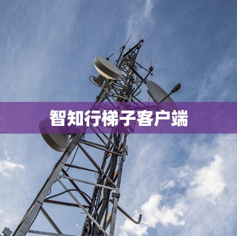 智知行梯子客户端 智知行梯子客户端